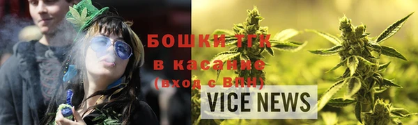 дмт Богородицк