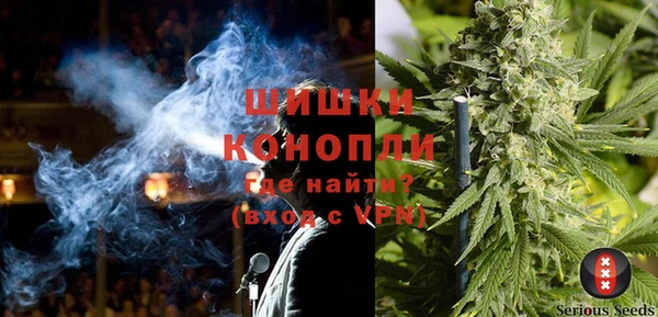 гашик Белокуриха