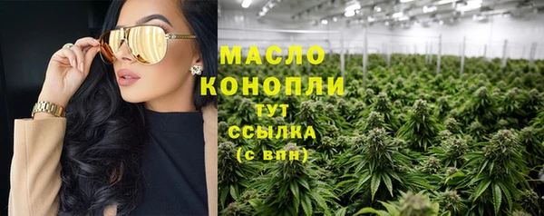 дмт Богородицк