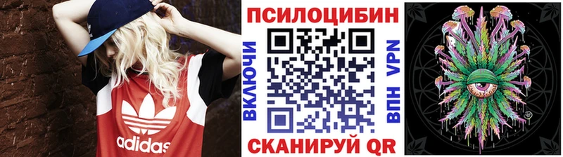 хочу   Минеральные Воды  Псилоцибиновые грибы мухоморы 
